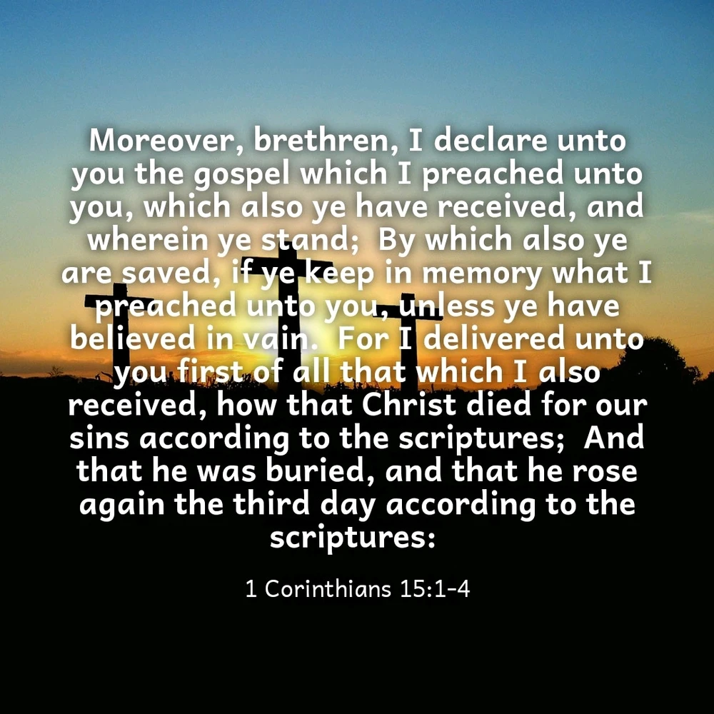 GIF uploaded by Larry