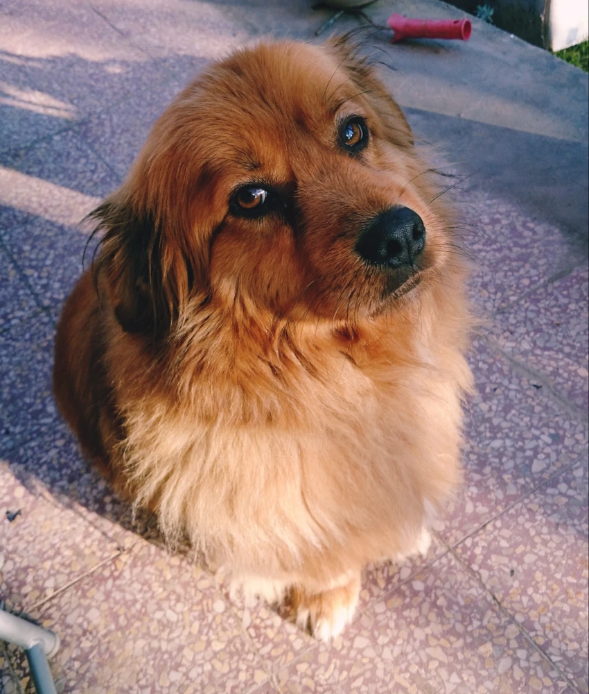 GIF uploaded by Tamás