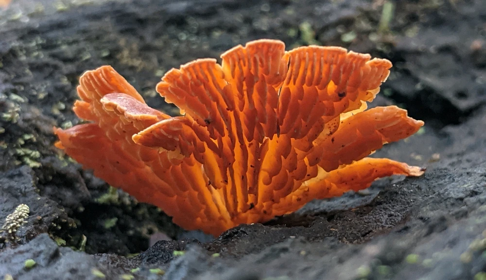 GIF uploaded by Chris