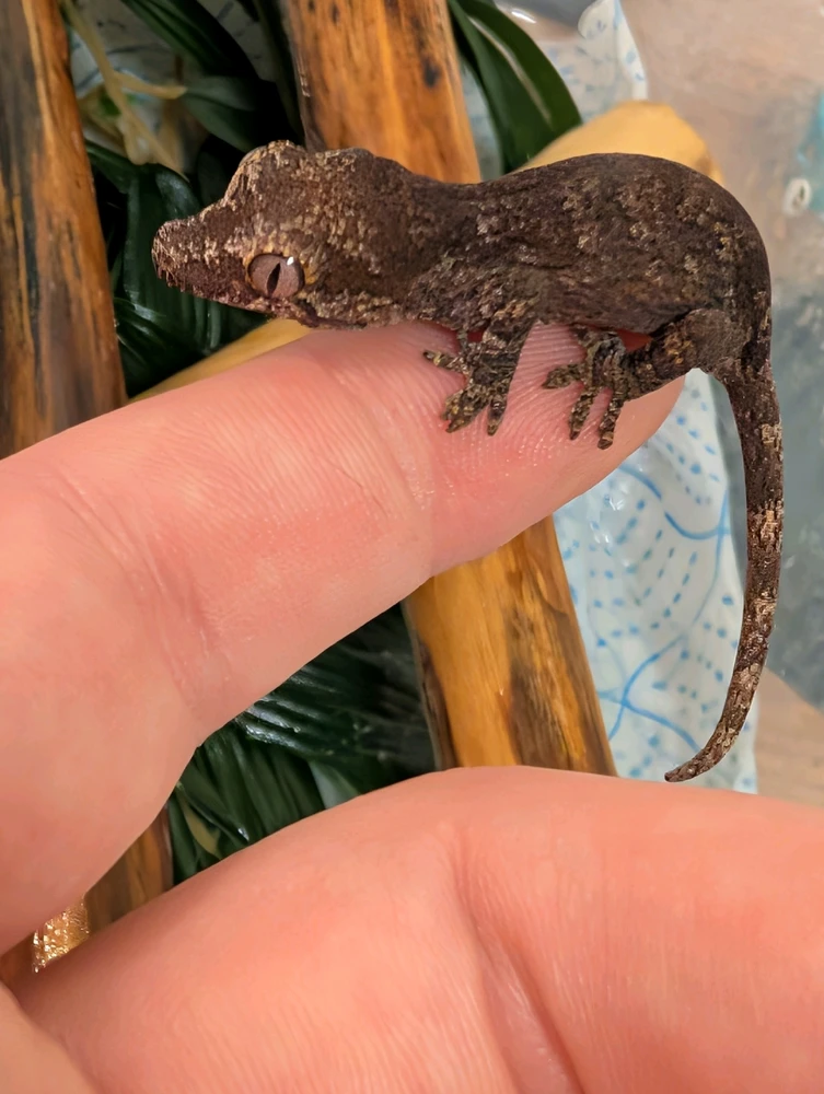 GIF diunggah dening Mark