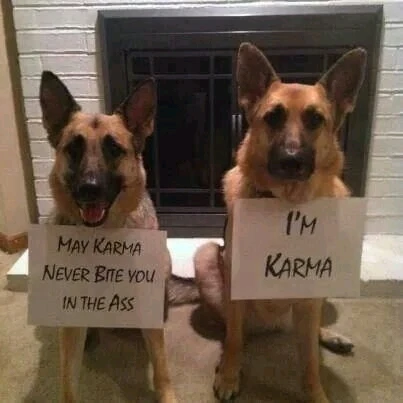 GIF uploaded by Martin