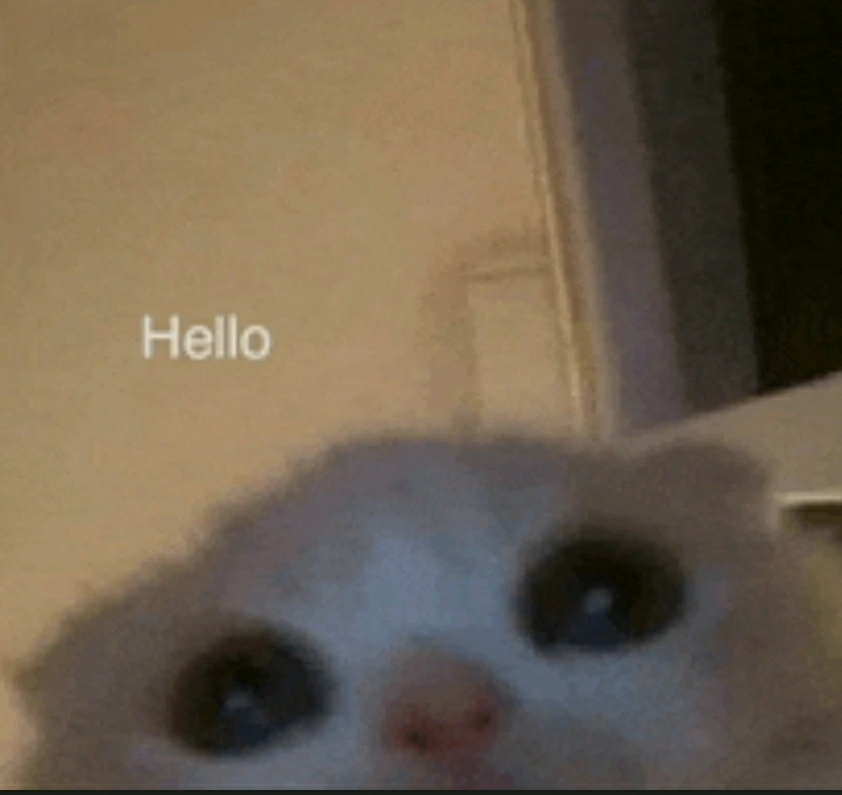 GIF uploaded by Daisy