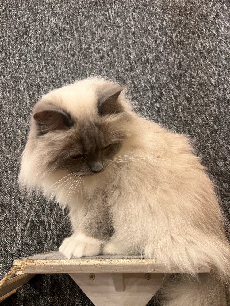 Zdjęcie dodane przez Ari