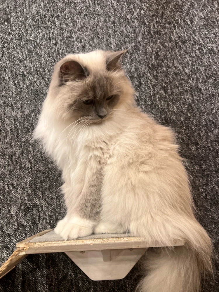 Zdjęcie dodane przez Ari