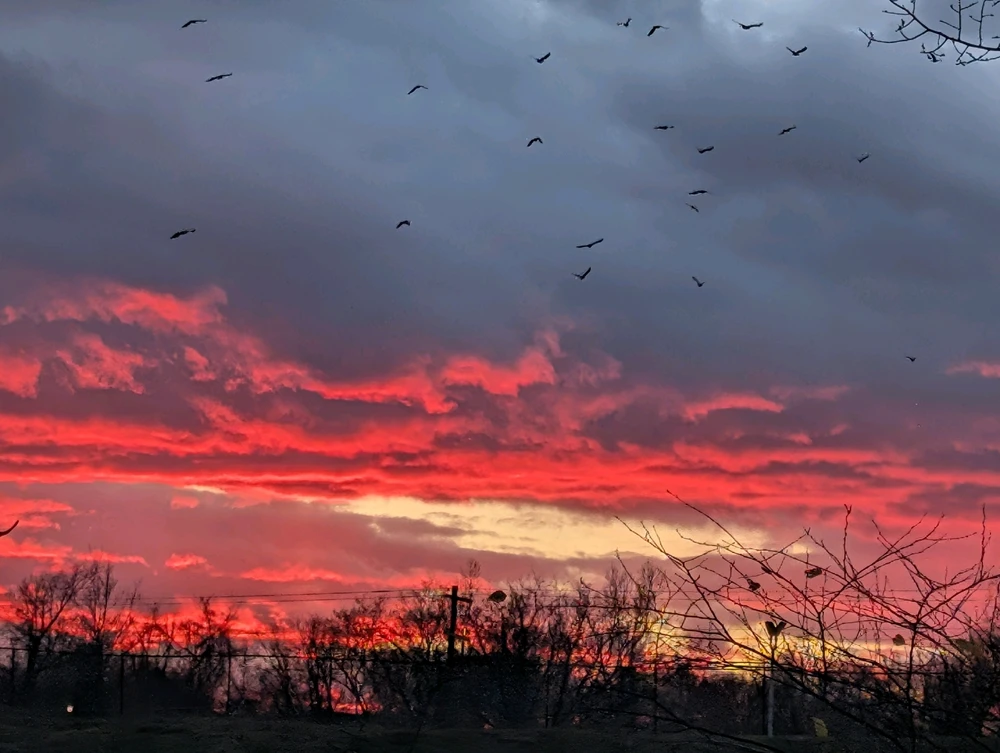 GIF uploaded by Zena