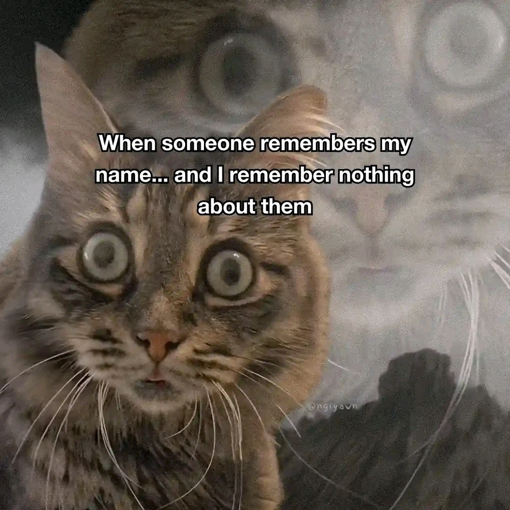 GIF uploaded by Dragoness