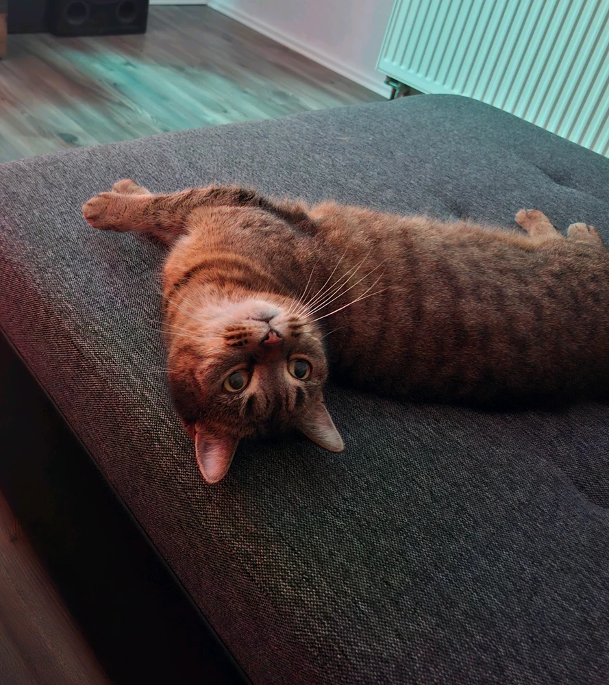 GIF uploaded by Trine