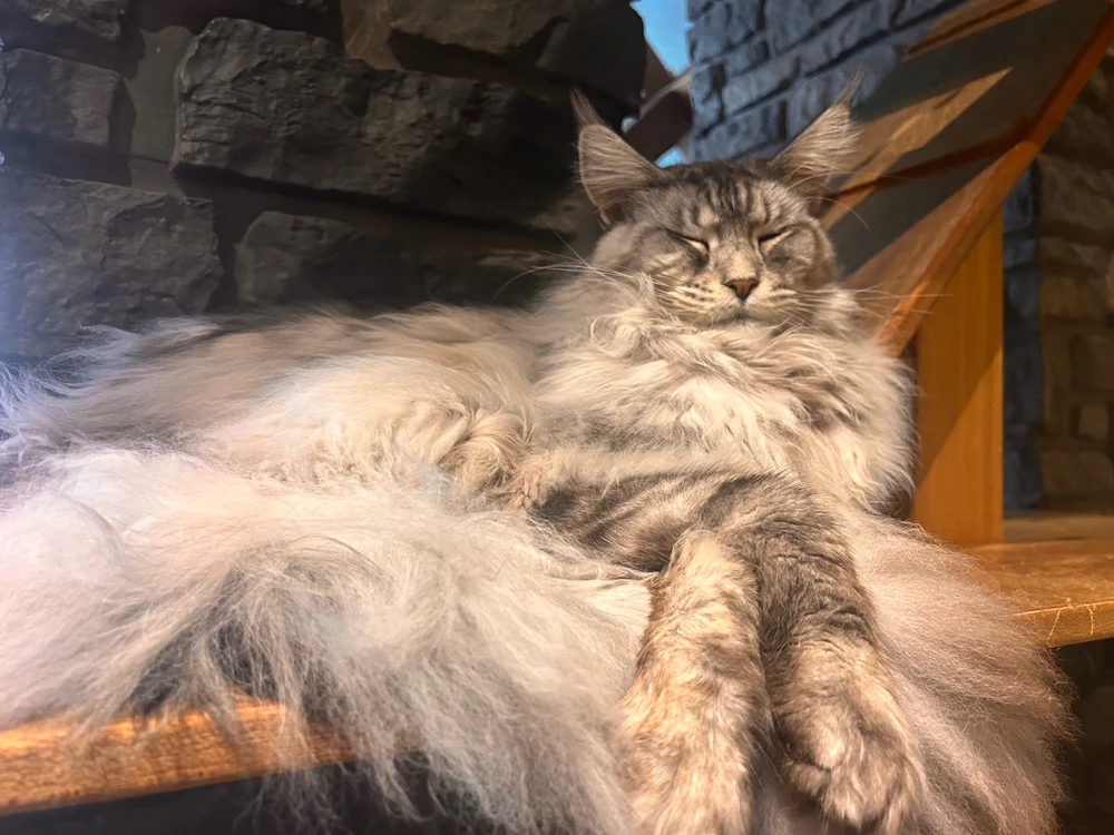 Image uploaded by Patrick