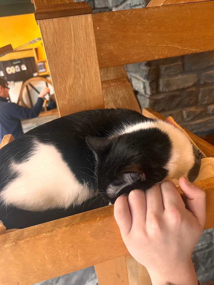 Image uploaded by Patrick