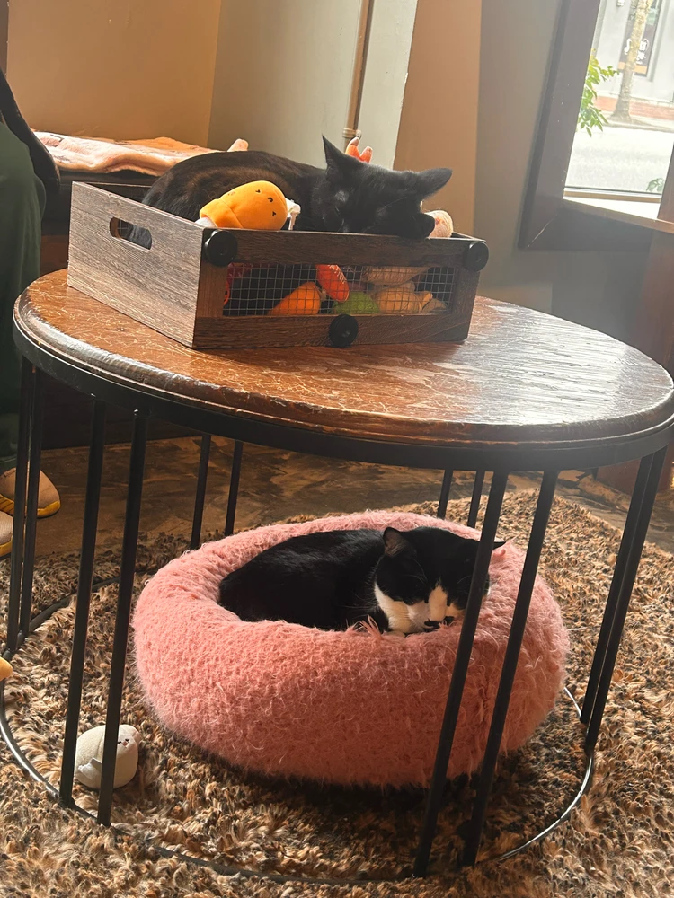 Image uploaded by Patrick