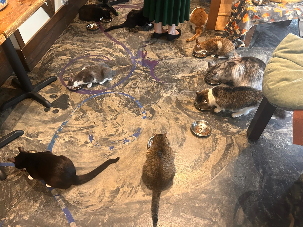 Image uploaded by Patrick