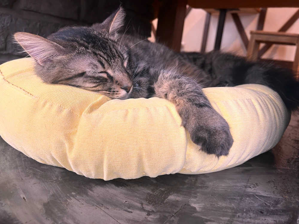 Image uploaded by Patrick