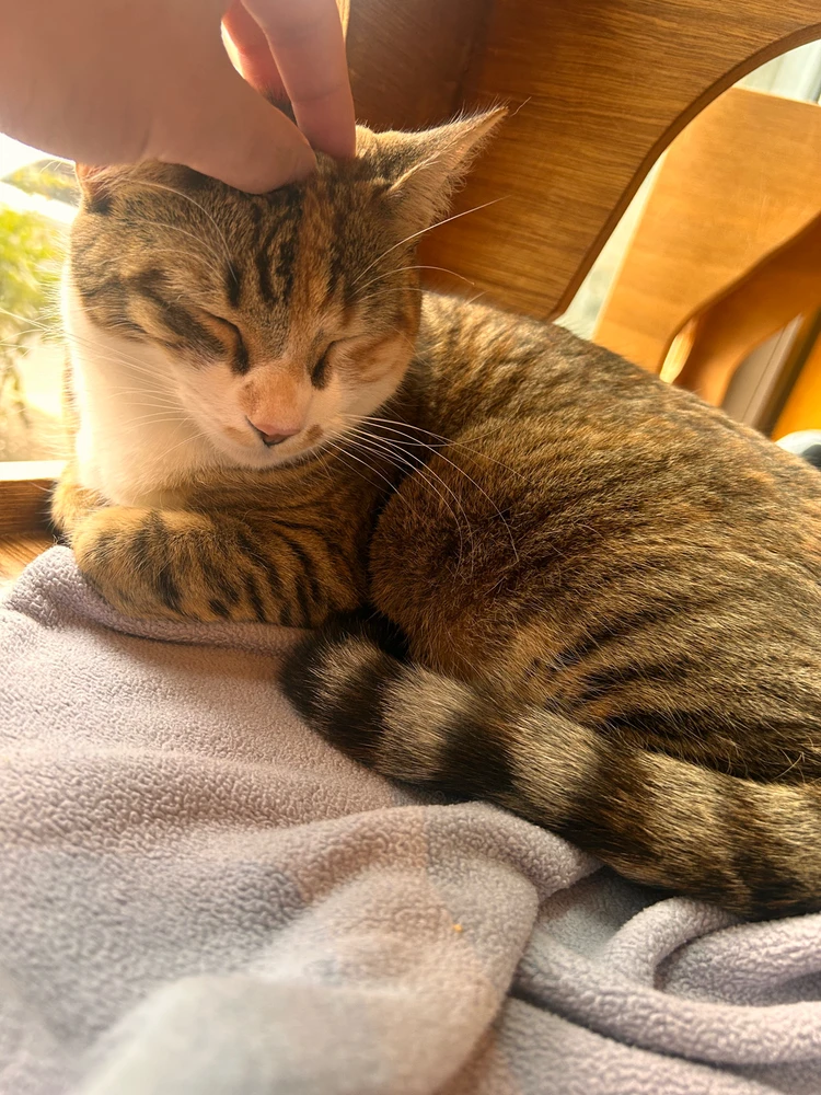 Image uploaded by Patrick