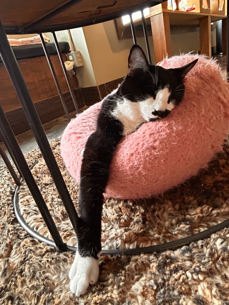 Image uploaded by Patrick