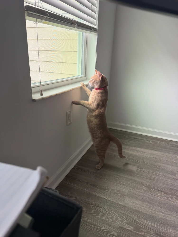 GIF uploaded by Nirobe