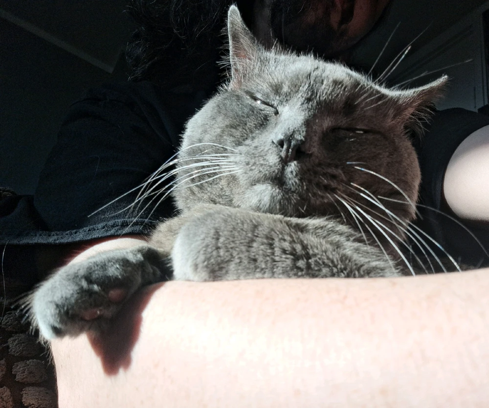 GIF uploaded by Craig