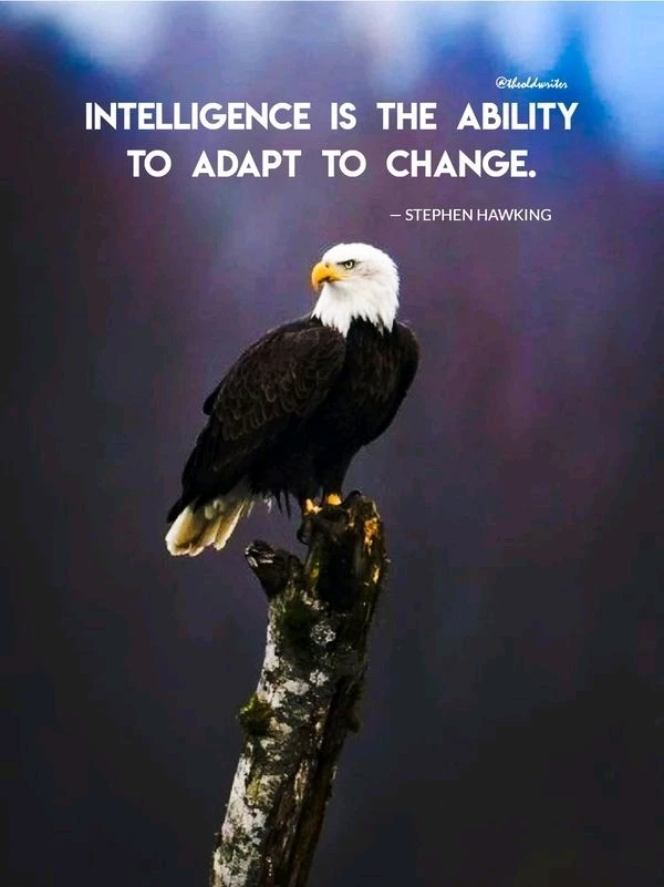 GIF uploaded by Ve E Ra