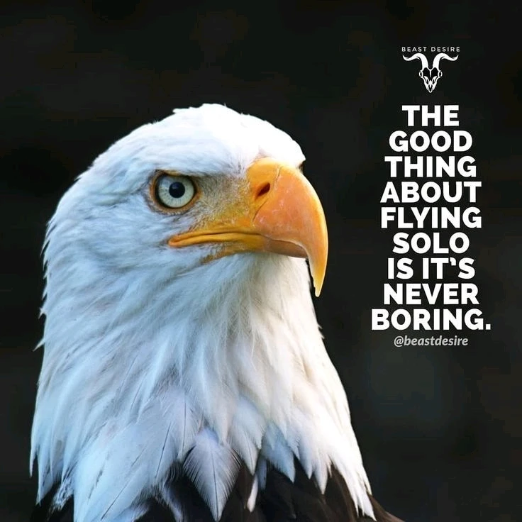 GIF uploaded by Ve E Ra