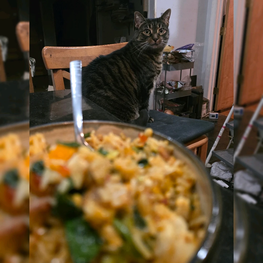 Image uploaded by Tarik