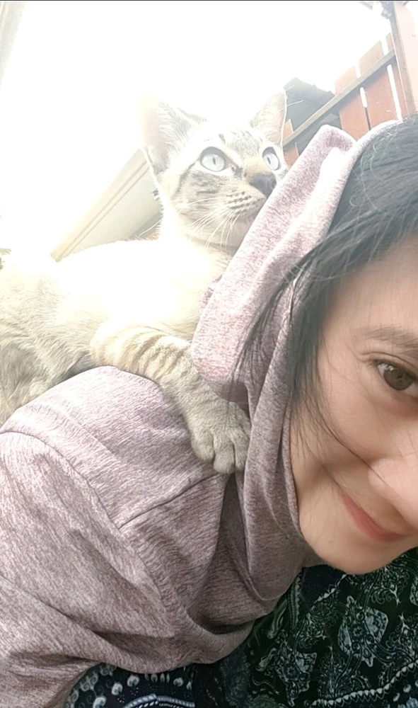 GIF uploaded by Jellyfish