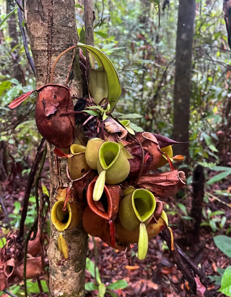 Image uploaded by Leo