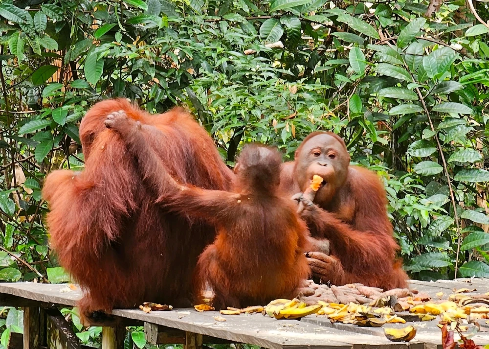 Image uploaded by Leo