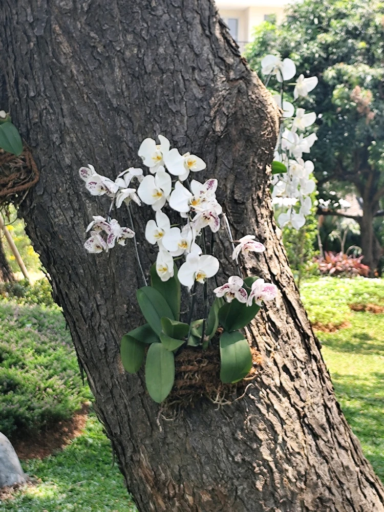 Image uploaded by Yuki