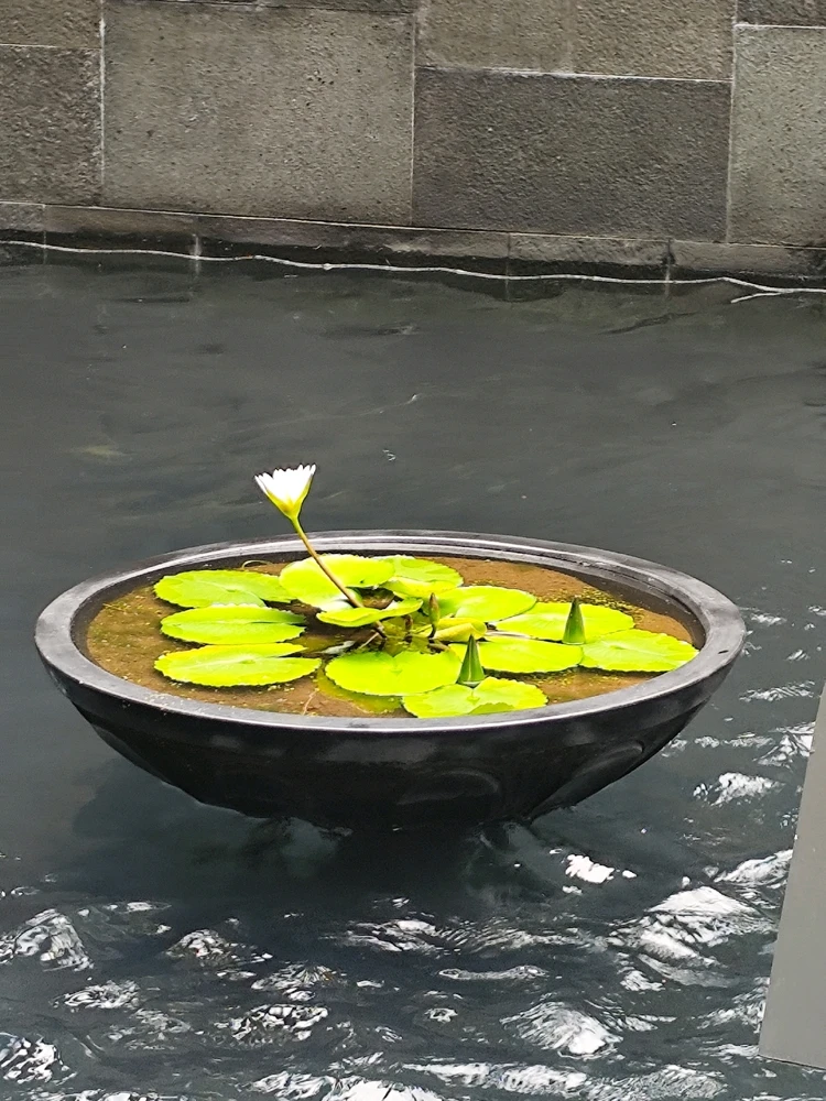 Image uploaded by Yuki