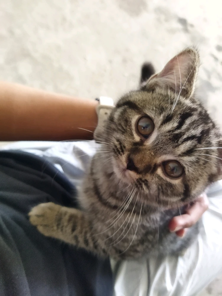 Image uploaded by Isay