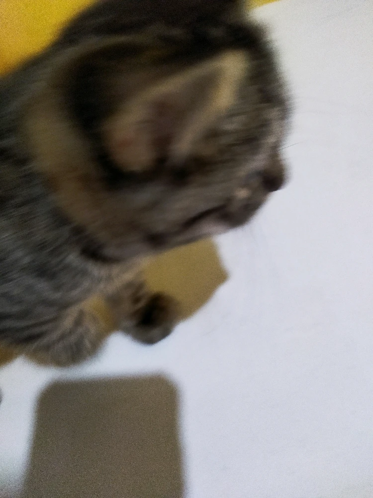 Image uploaded by Isay