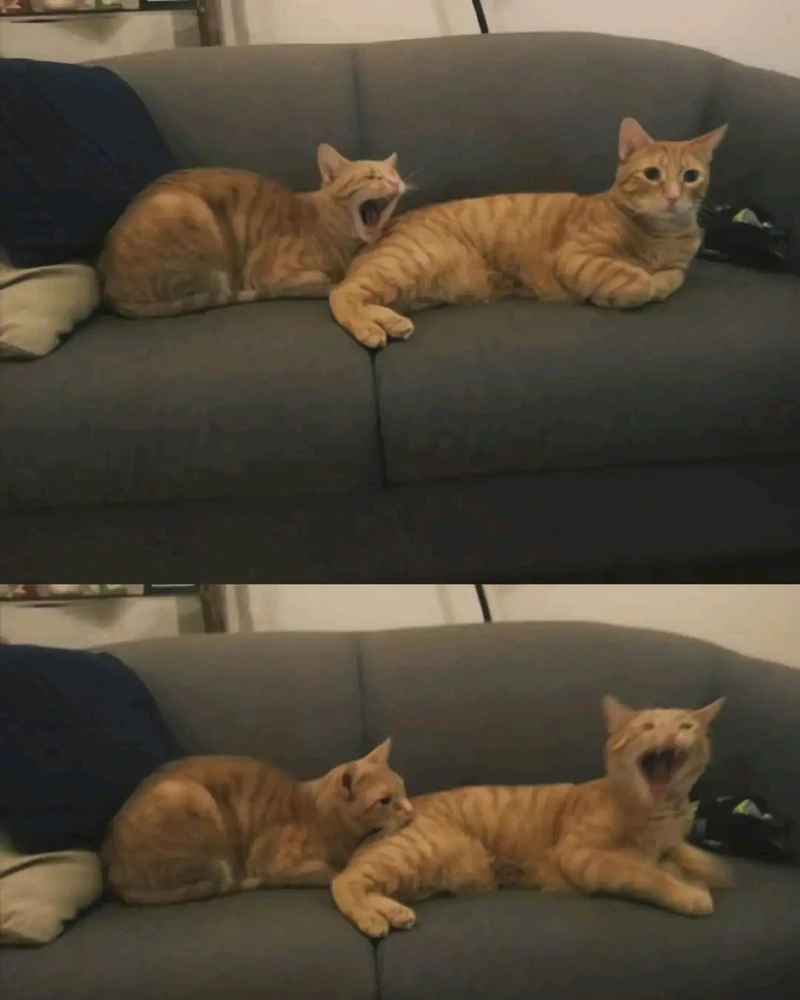 GIF uploaded by Carla