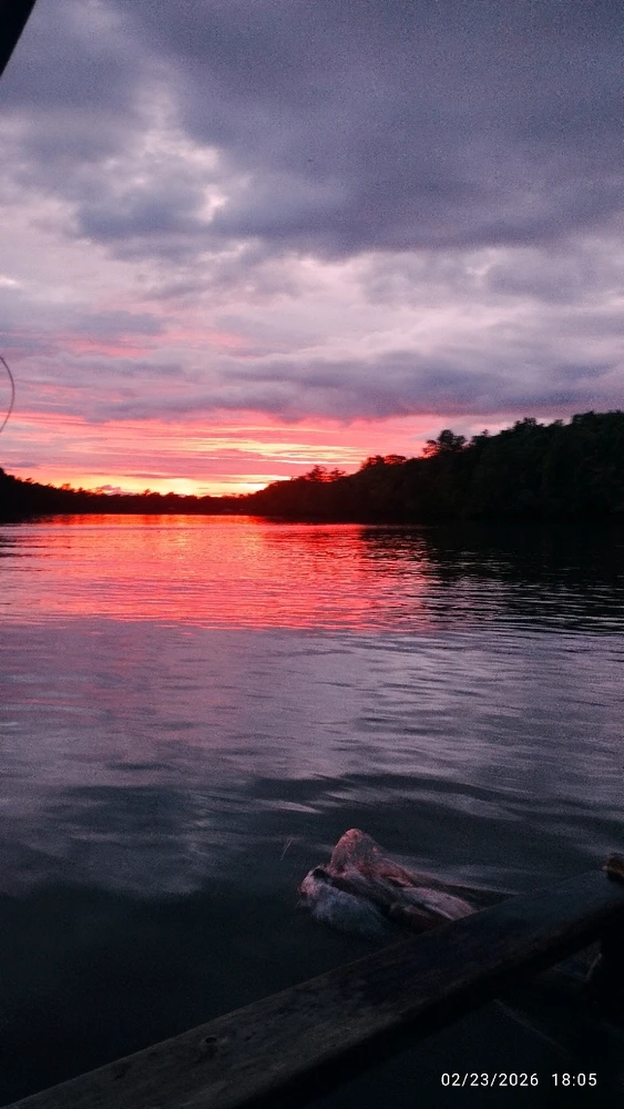 GIF uploaded by Anami