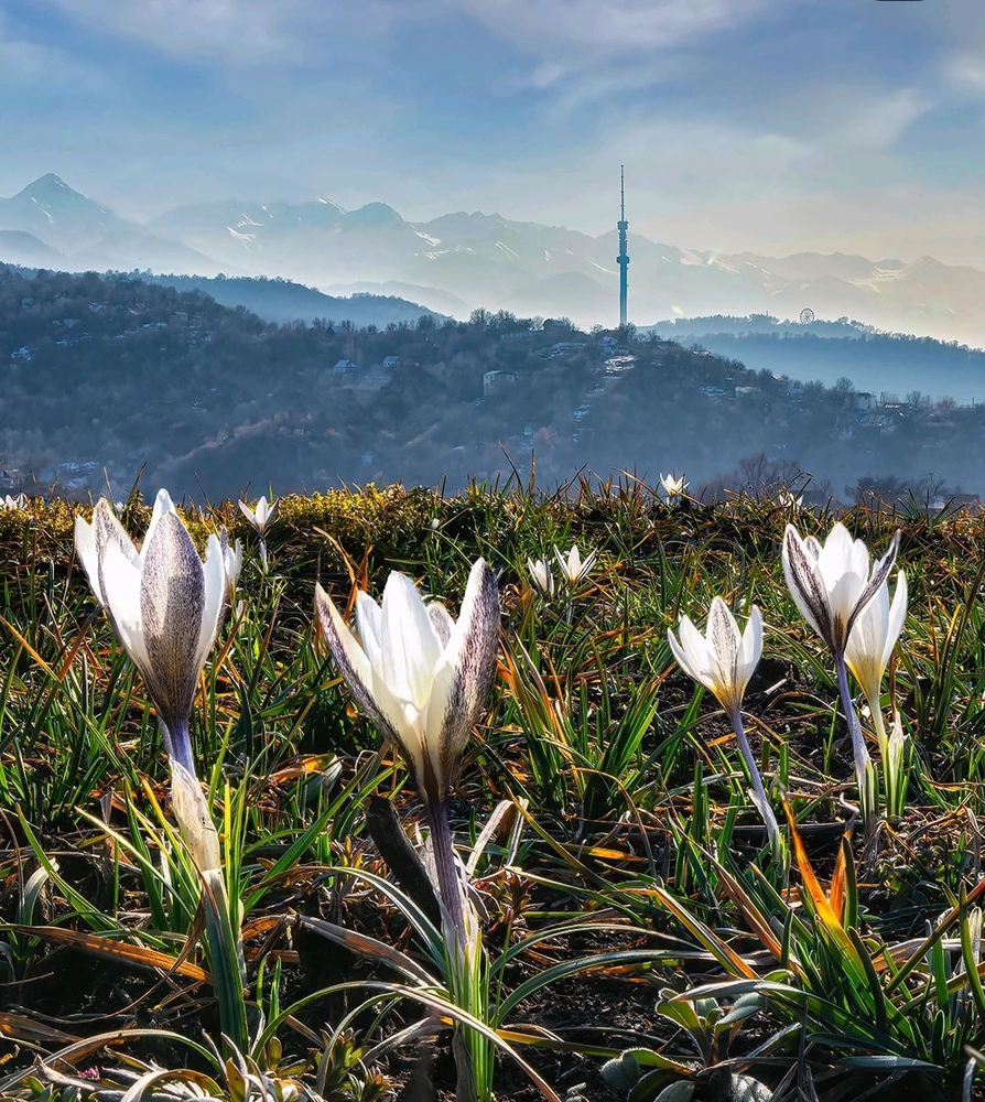 Фото загрузил Aiza