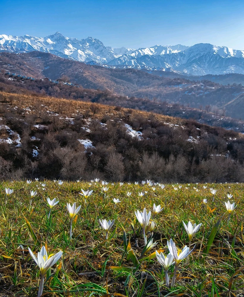 Фото загрузил Aiza