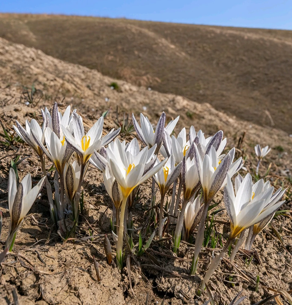 Фото загрузил Aiza