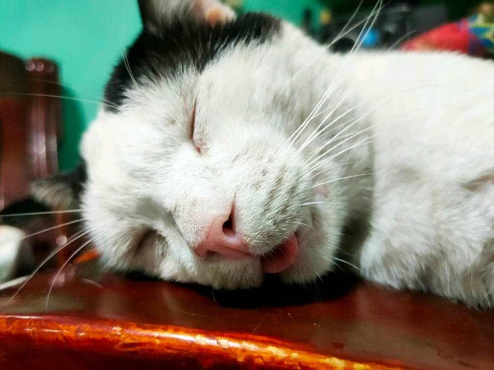 Image uploaded by Errol