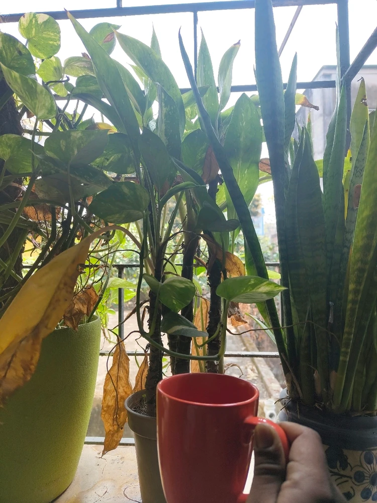 GIF uploaded by Mitter