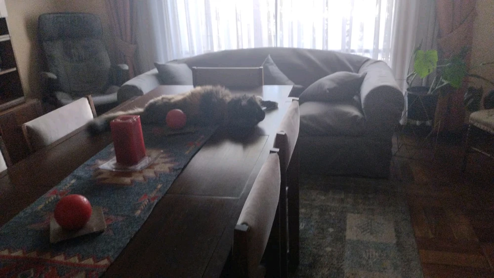 GIF uploaded by Felipe Burgos