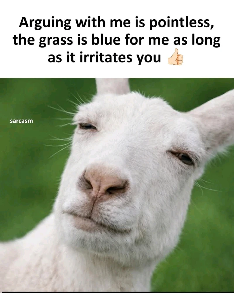 GIF uploaded by Chrif