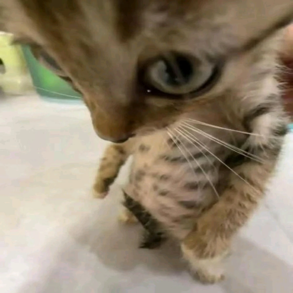 GIF subido por Ximena