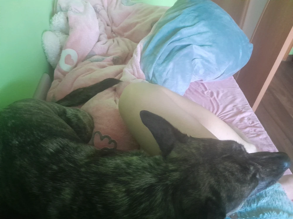 GIF uploaded by Eliana