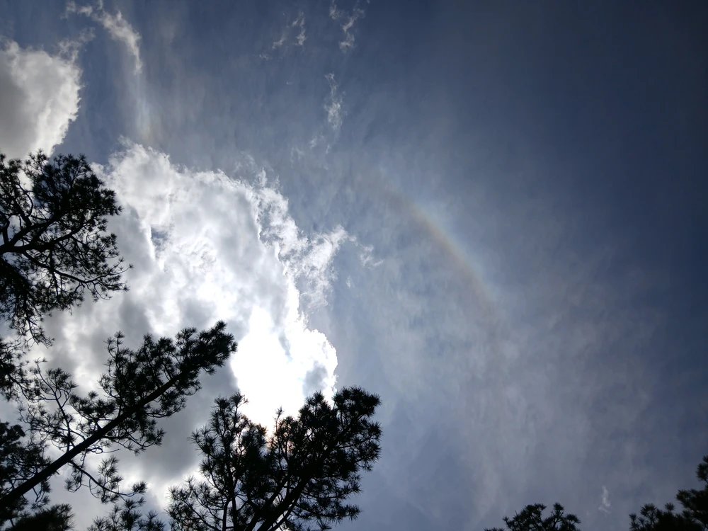 GIF uploaded by Brandon