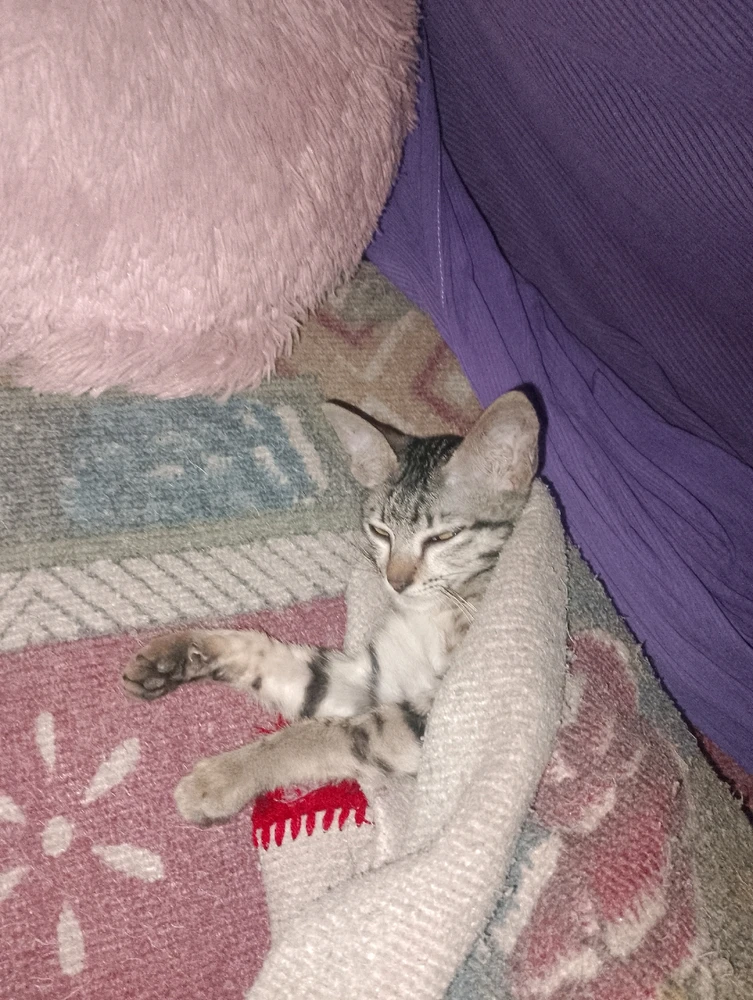 GIF uploaded by Siska