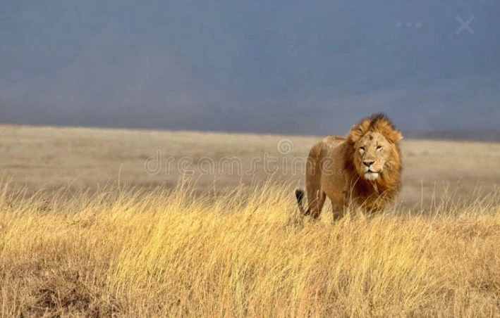 GIF caricata da Luis