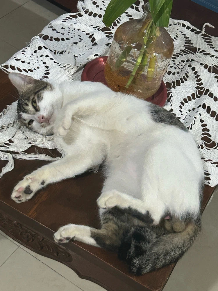 GIF uploaded by Matt