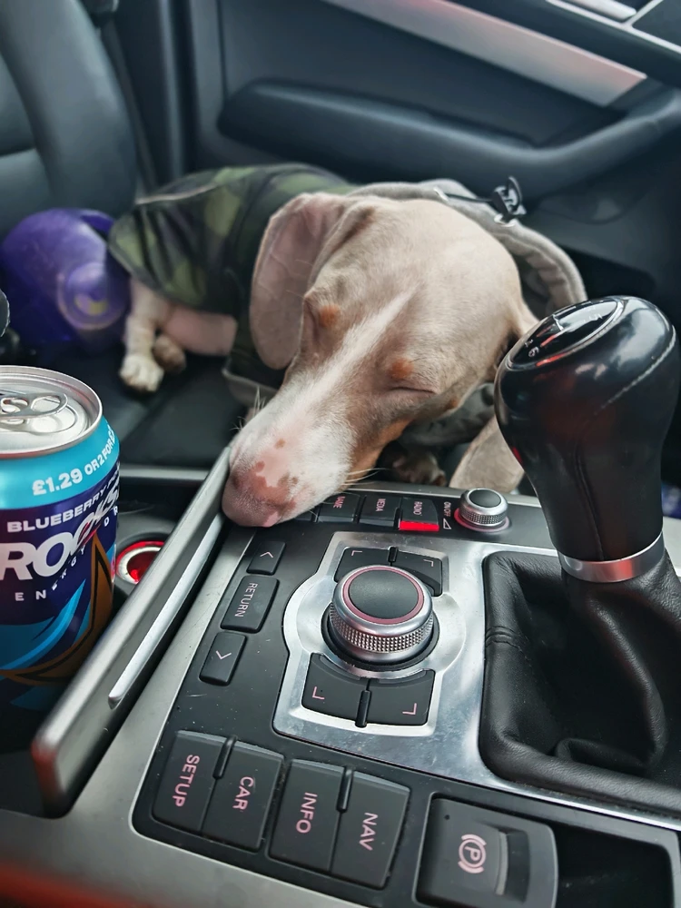 Image uploaded by Ben