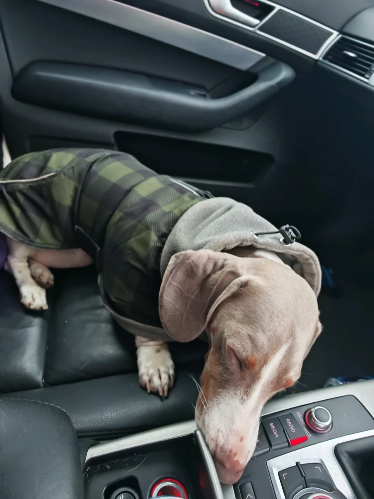 Image uploaded by Ben