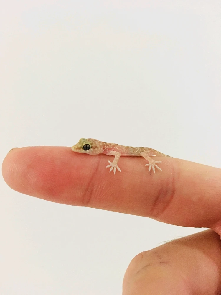 GIF uploaded by Marios