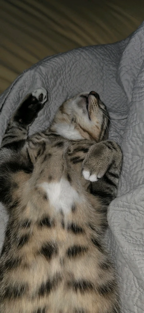 GIF uploaded by Michael