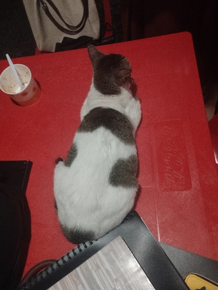 Image uploaded by Therese